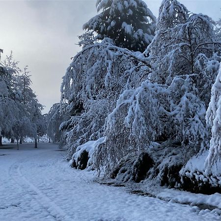 فيلا Woodbank Road Escape هانمر سبرينغز المظهر الخارجي الصورة